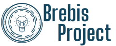 Brebis Project